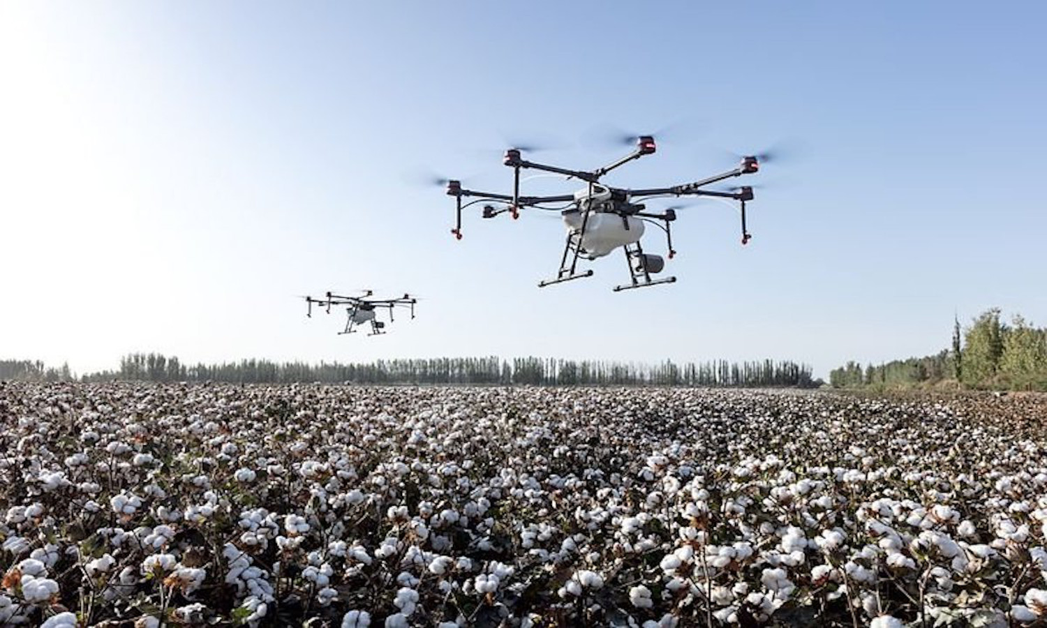 Dramatic Growth in AgriFoodTech Sector