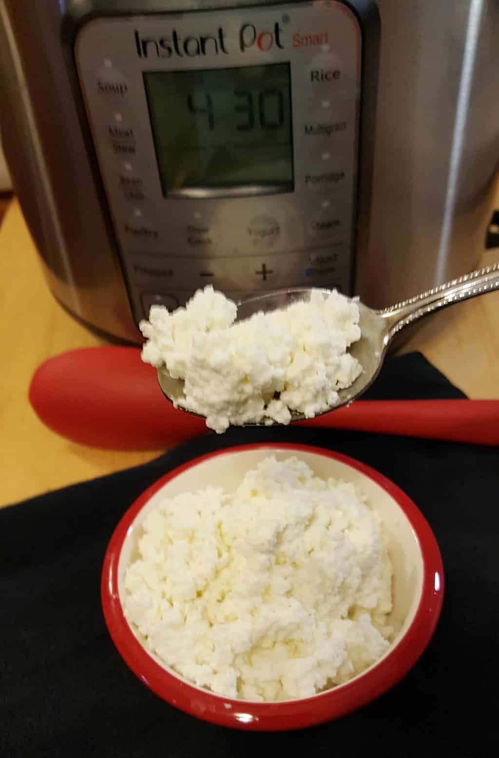 Instant Pot Homemade Cottage Cheese Recipe