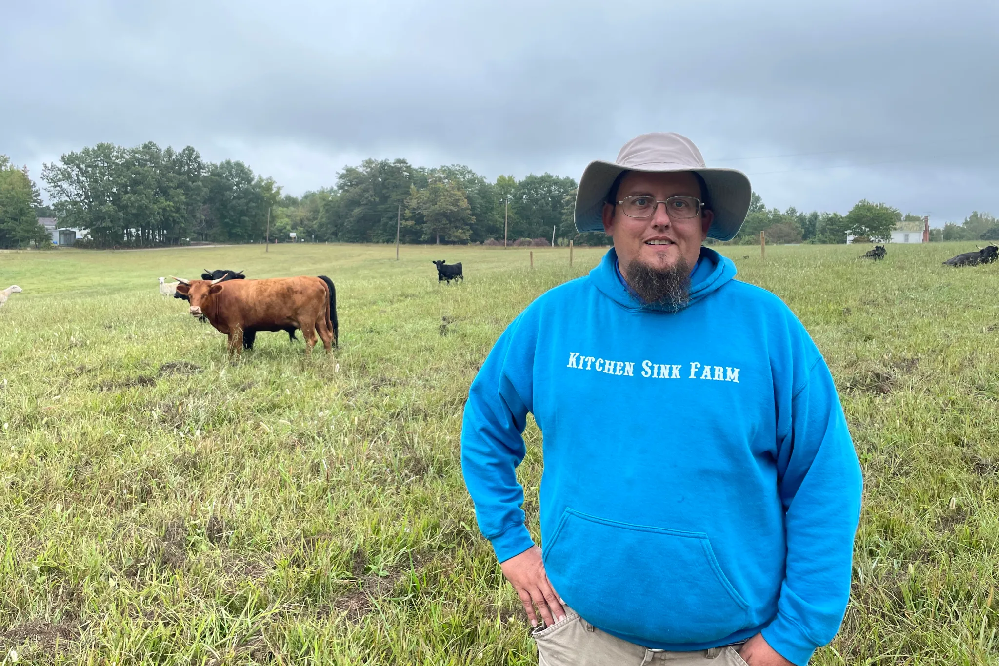 Coming to a solar farm near you: cows?