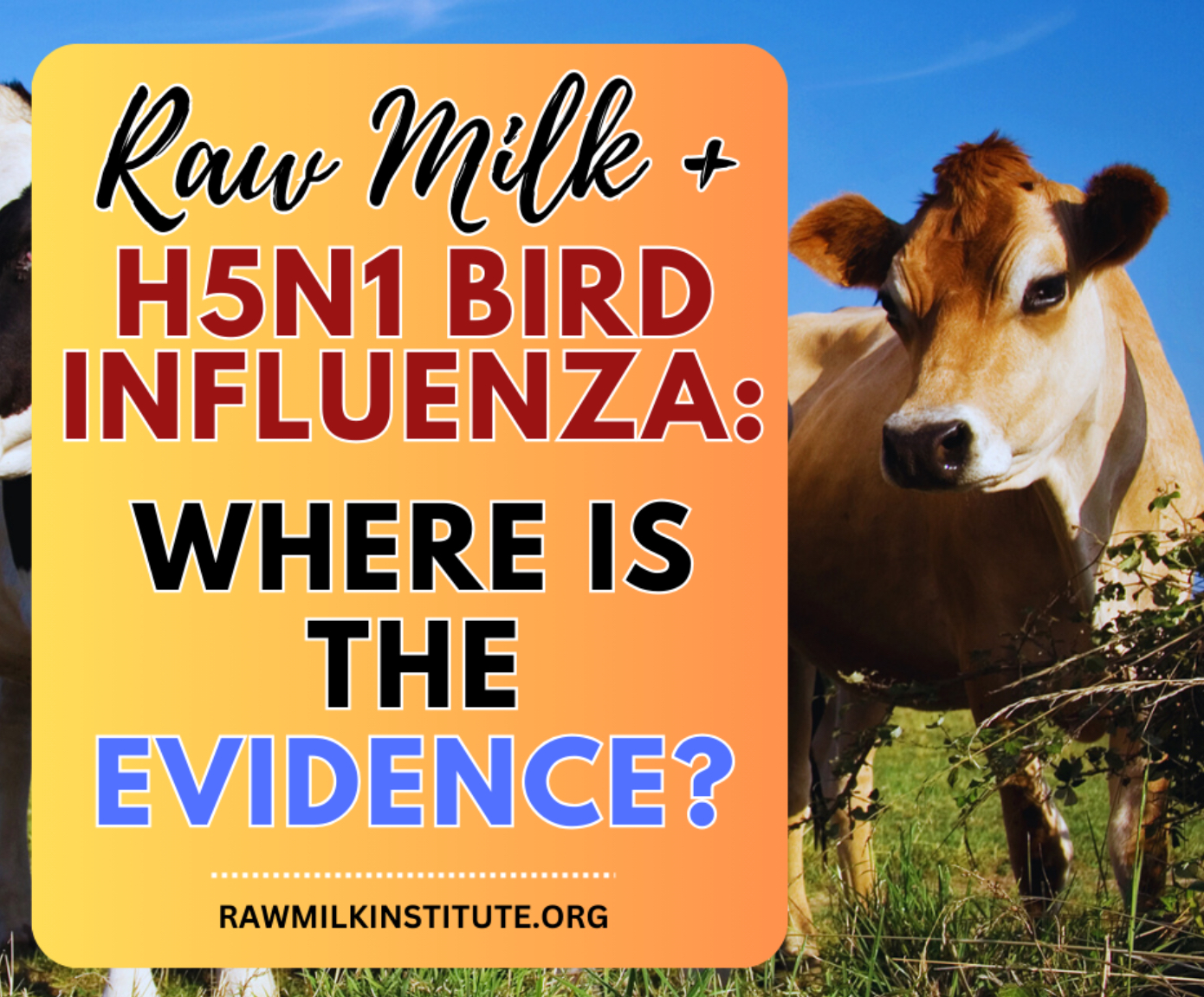 Bird flu and raw milk…one opinion