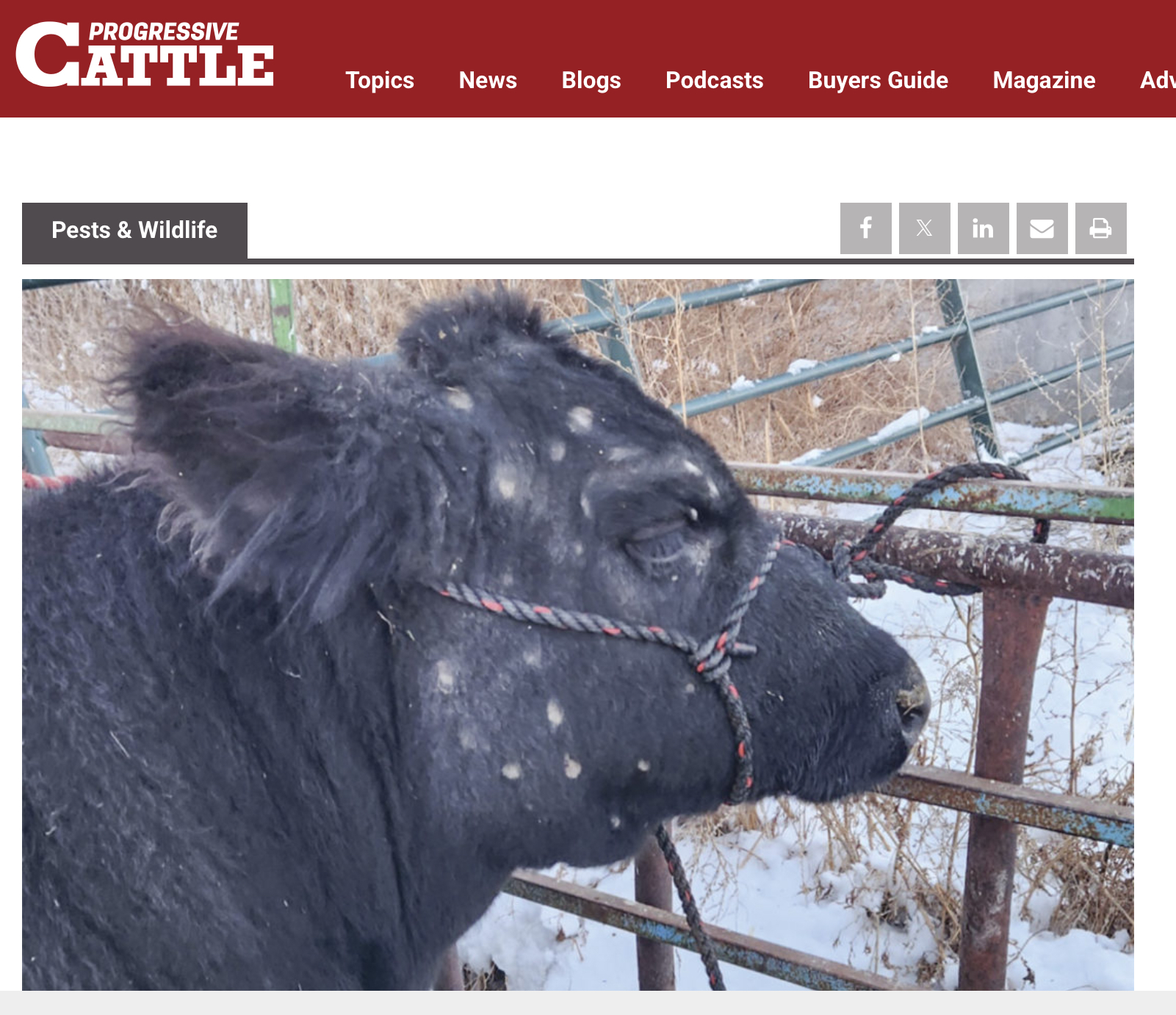 Tips on healthy livestock!