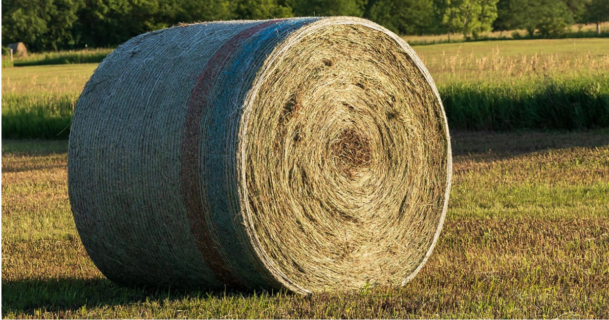 Having this information allows beef producers to match the right supplement strategy