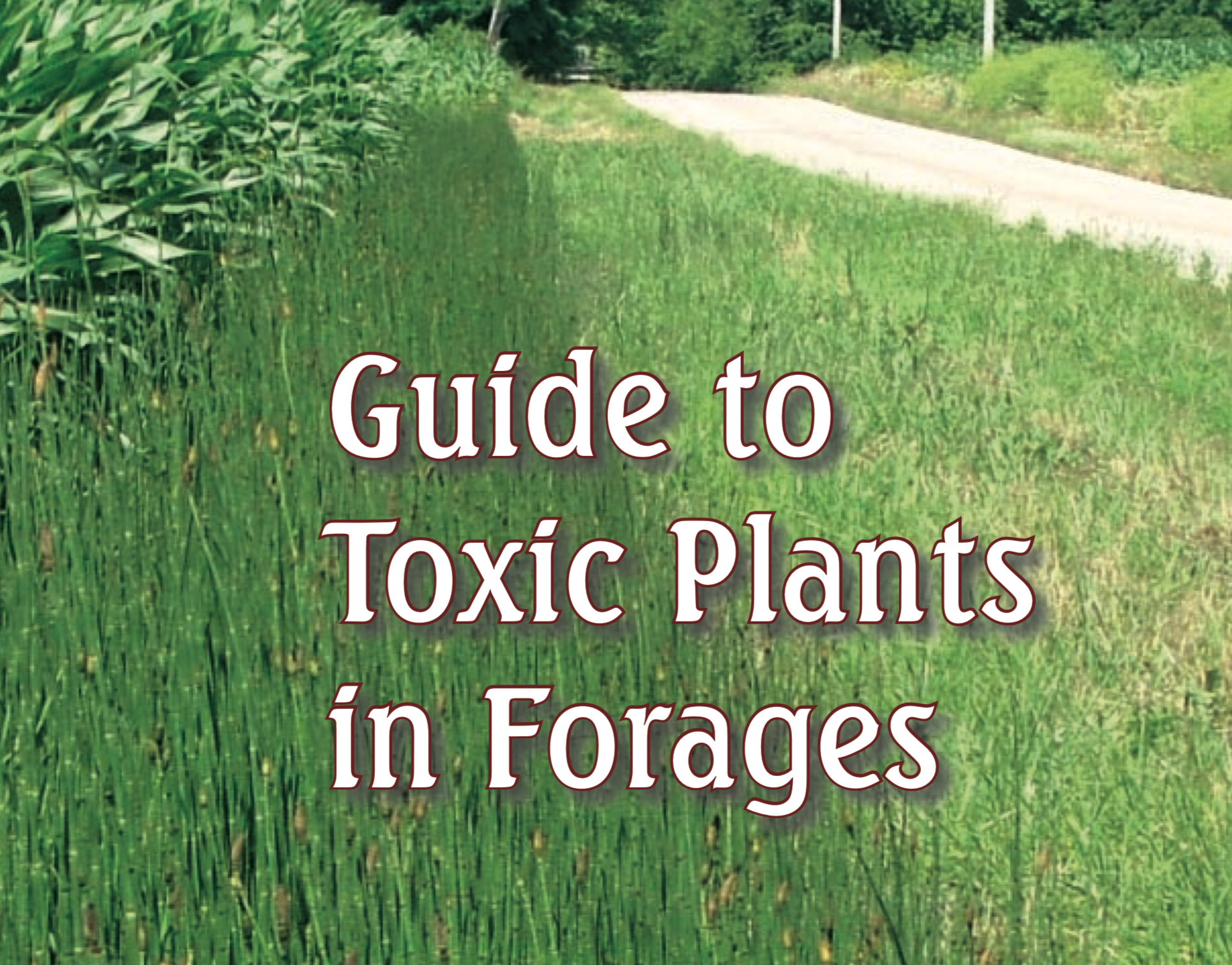 Guide to toxic plants in forages