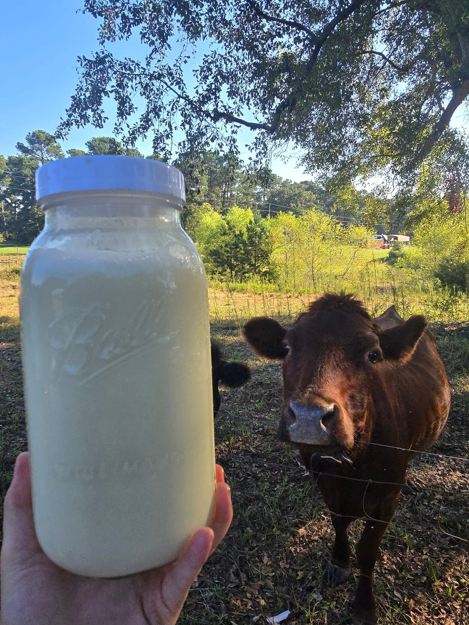 Does feeding hay positively affect milk composition?
