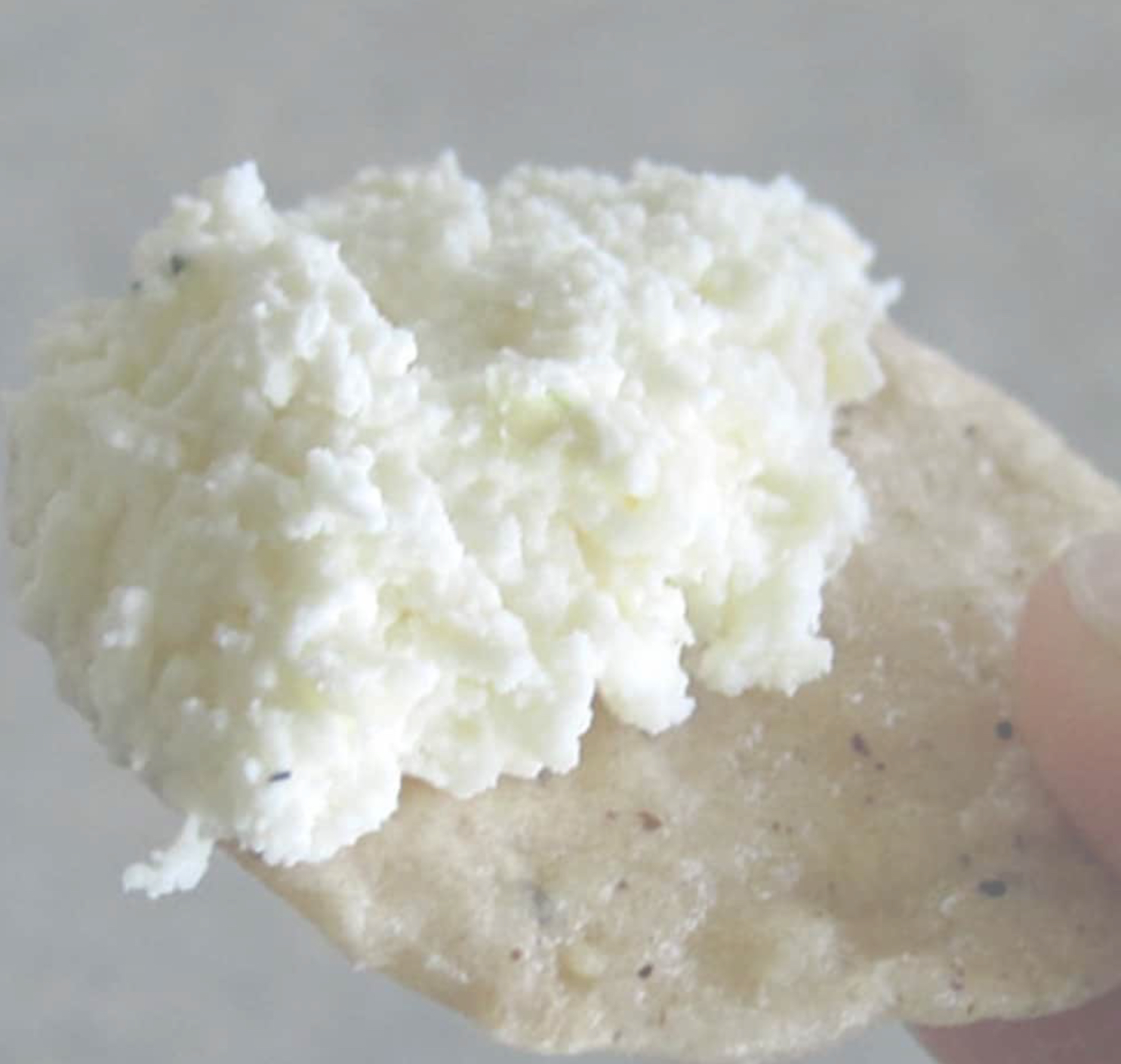 Fromage Blanc recipe – Easy to make cheese