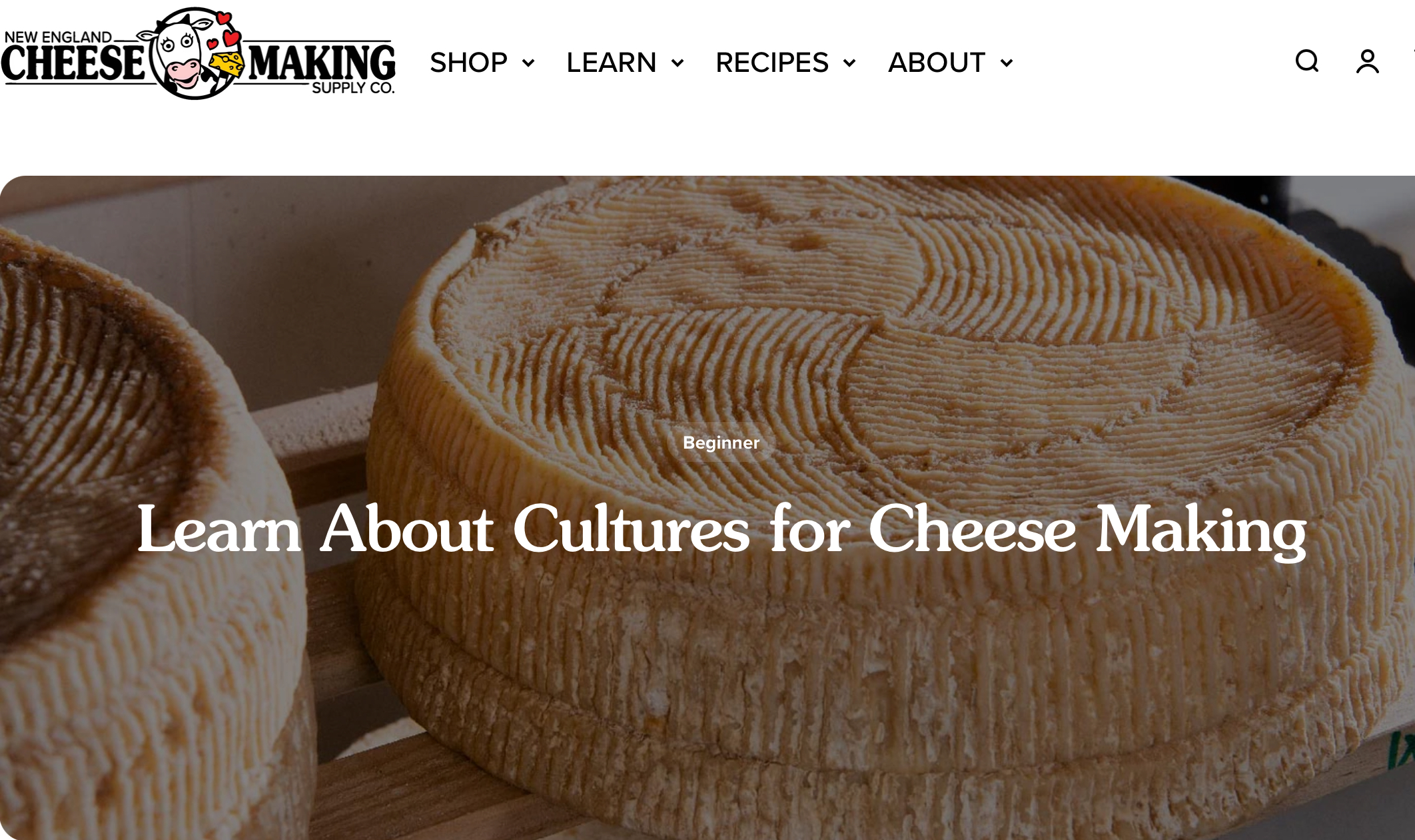 Learn About Cultures for Cheese Making