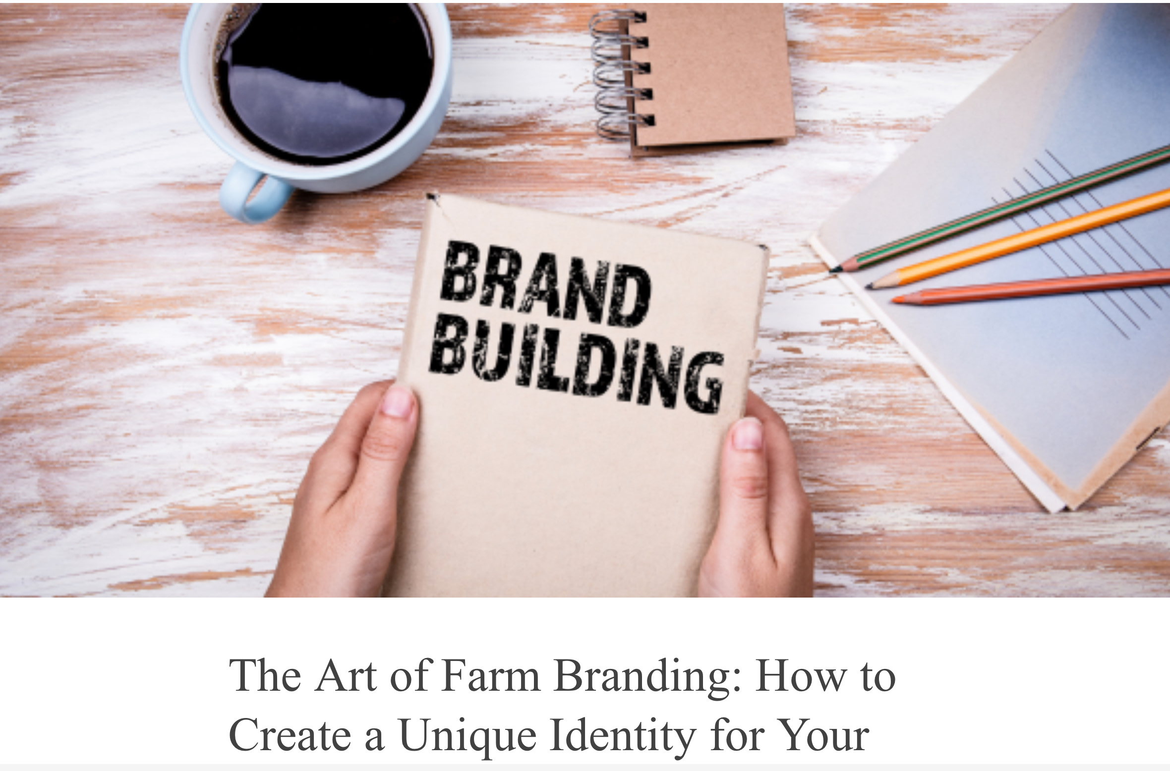 The Art of Farm Branding