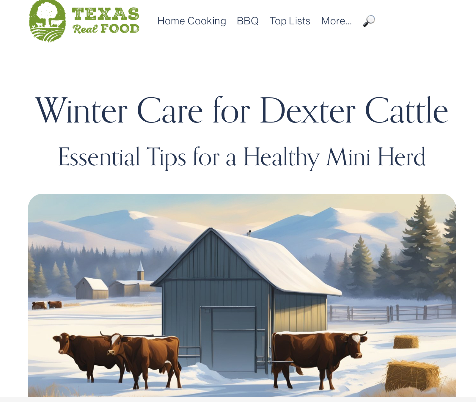 Winter care for Dexter cattle