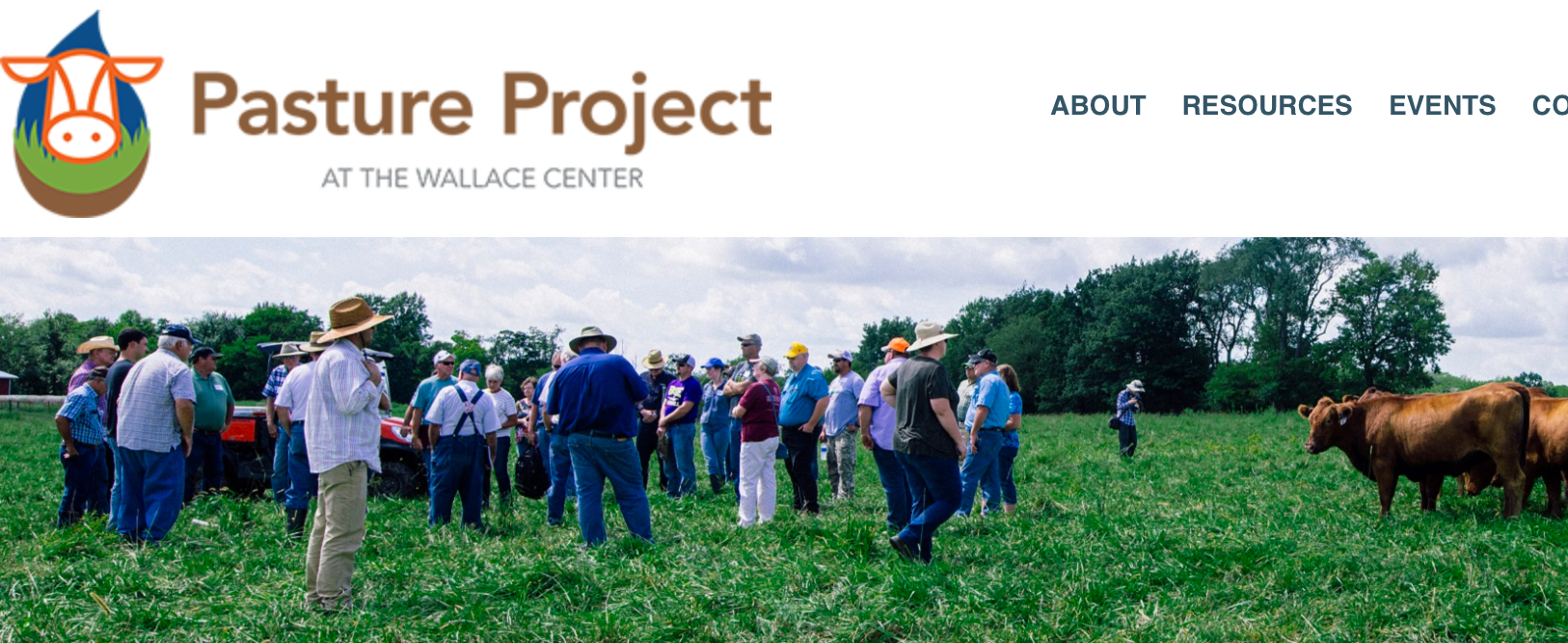 GRASS FED BEEF: COUNTING THE COSTS