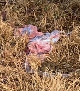 Leave alone retained placentas