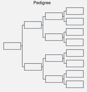 Line Breeding vs. Inbreeding