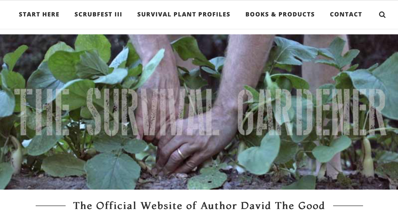 The Dexter cow milking routine