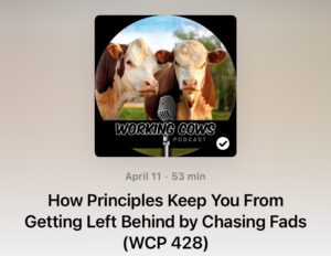 Chasing Fads will Leave You Behind