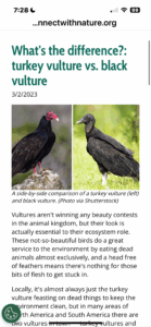 The threat of Black Vultures