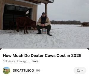 The Cost of a Dexter