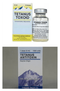 Tetanus vaccines – choose the right one for the job