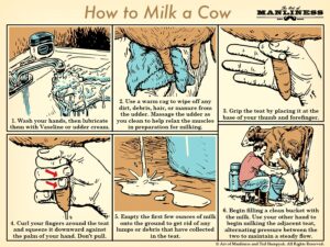 Simple graphics on how to hand milk and strip a cow teat