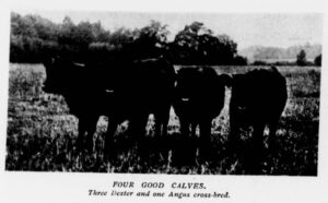 Article from 1906 Ladies Field