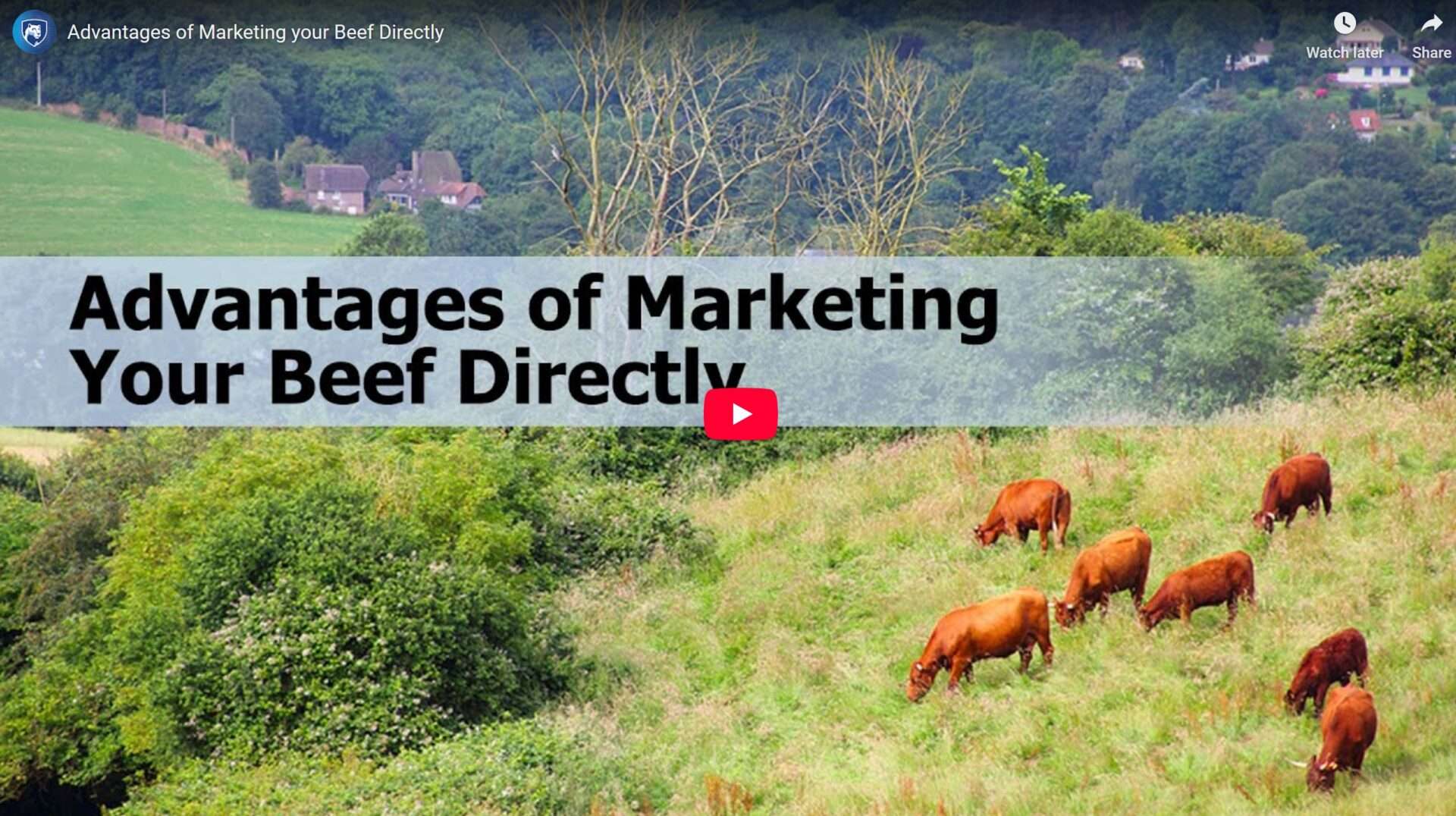 Advantages of Marketing Your Beef Directly