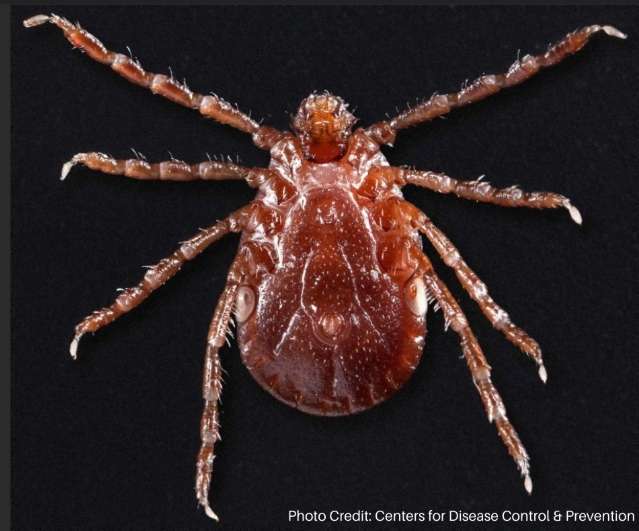 The Asian Tick is in the US