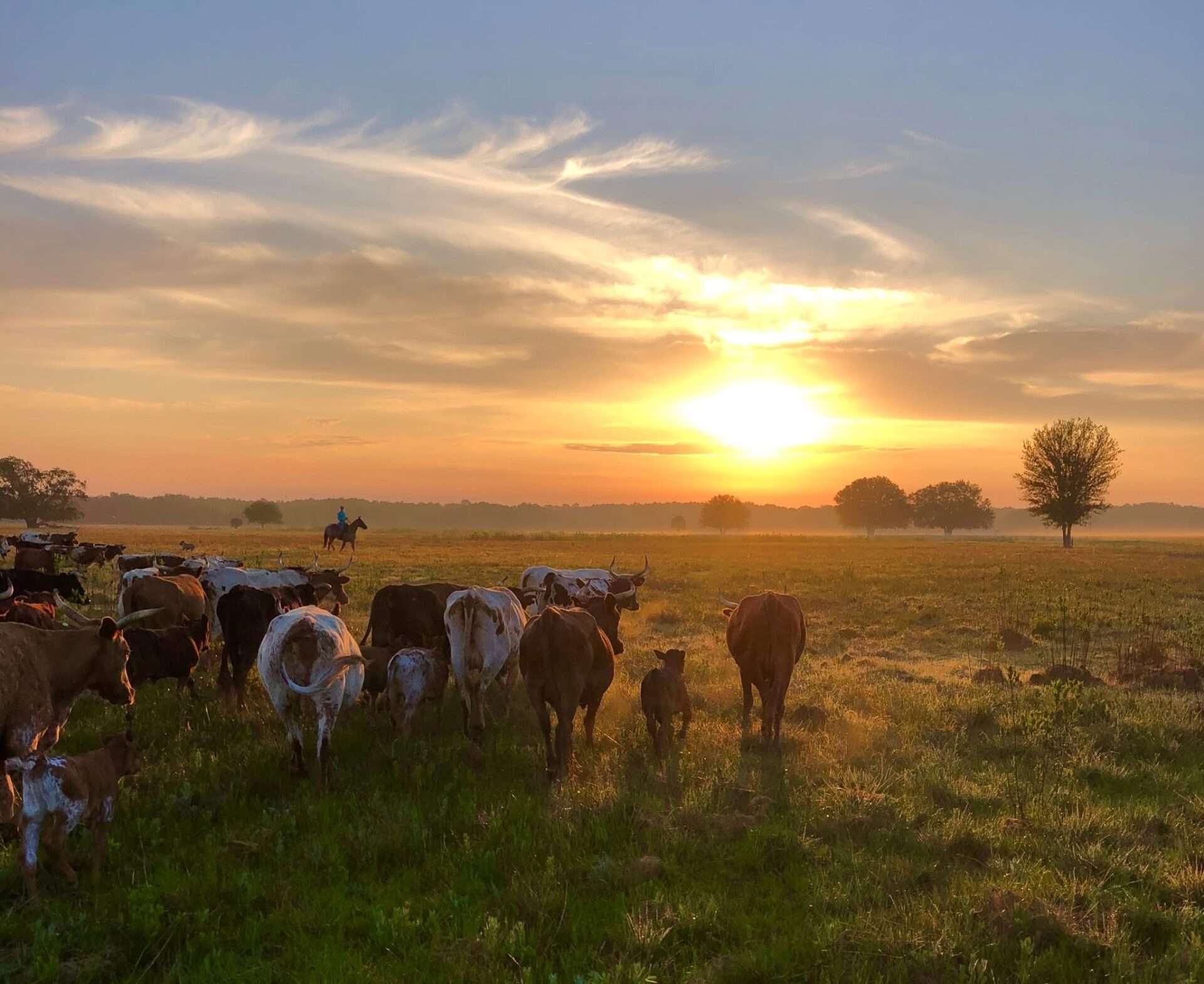 Building history opportunity and a chance to win a copy of a signed book!