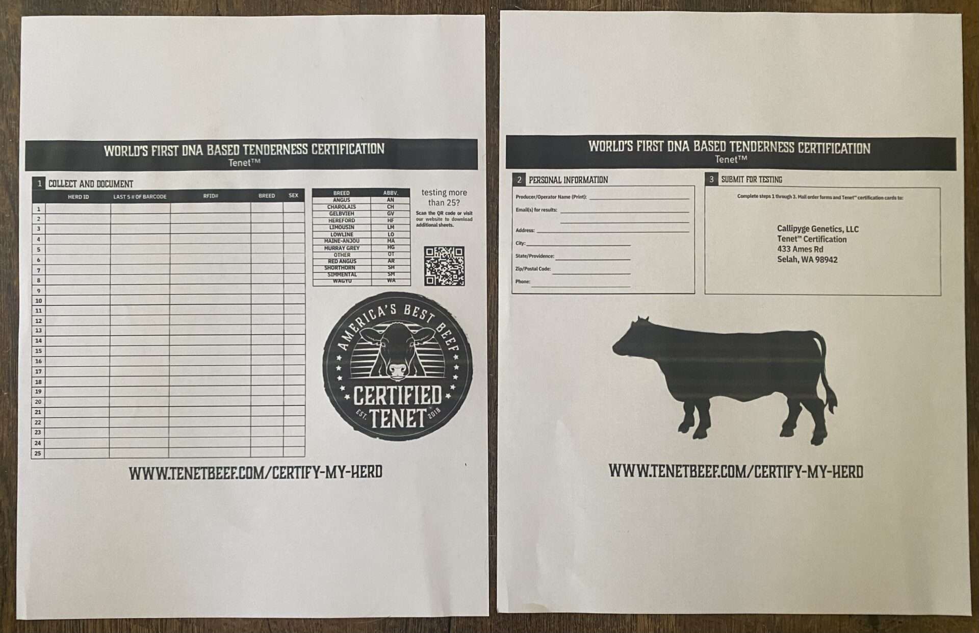 Do you know how to do a tail stick to get blood for Pregnancy and Tenet Beef testing?