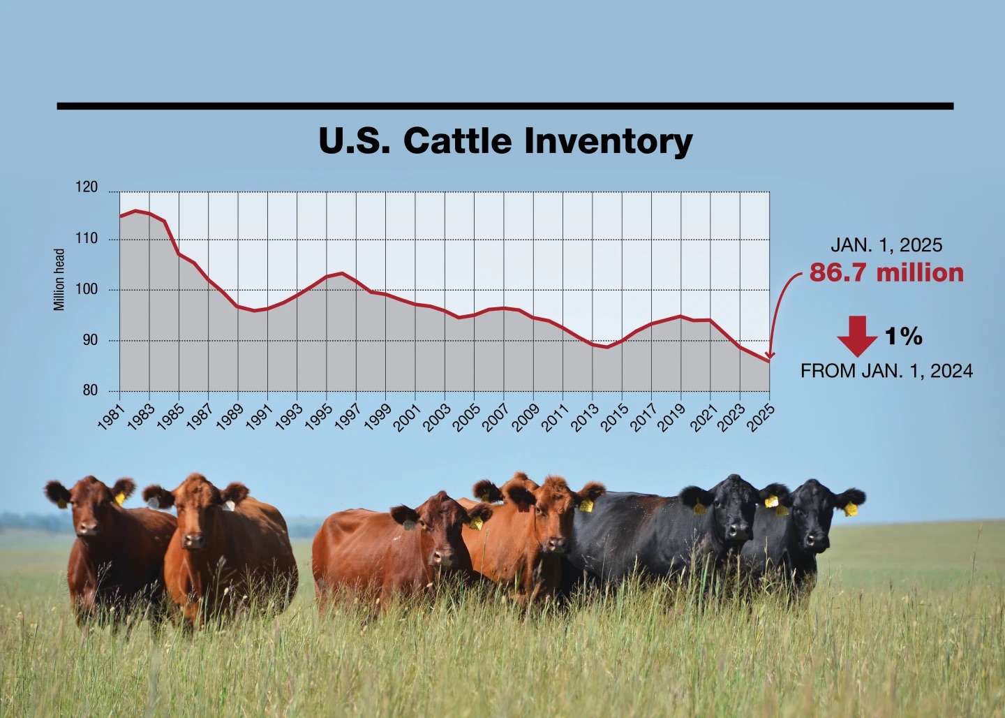 A Place for Dexter Beef?