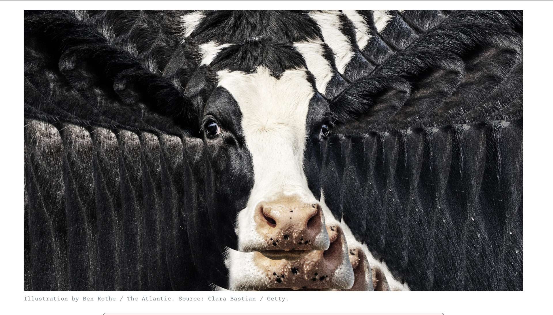 How much of your Dexter do you use?