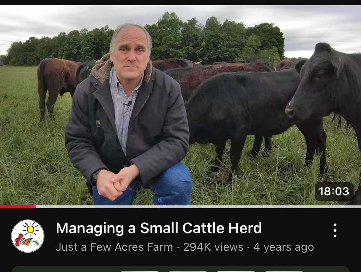 Managing a small herd of cattle