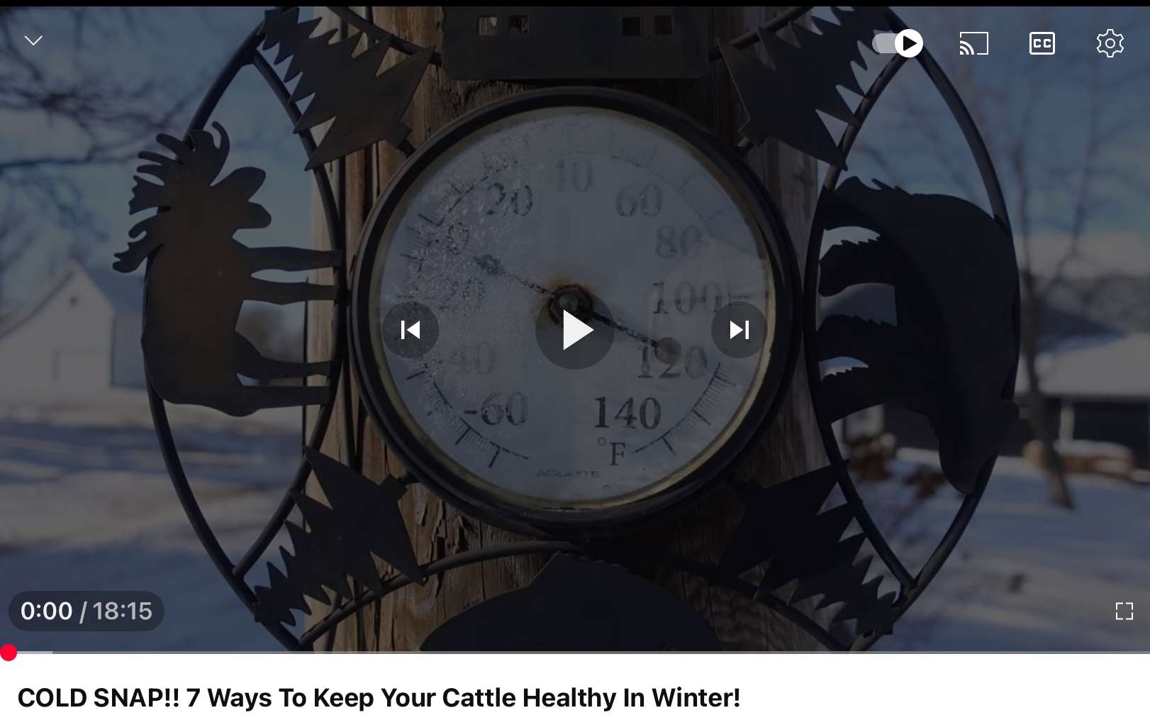 “Winter Prep for your Herd”
