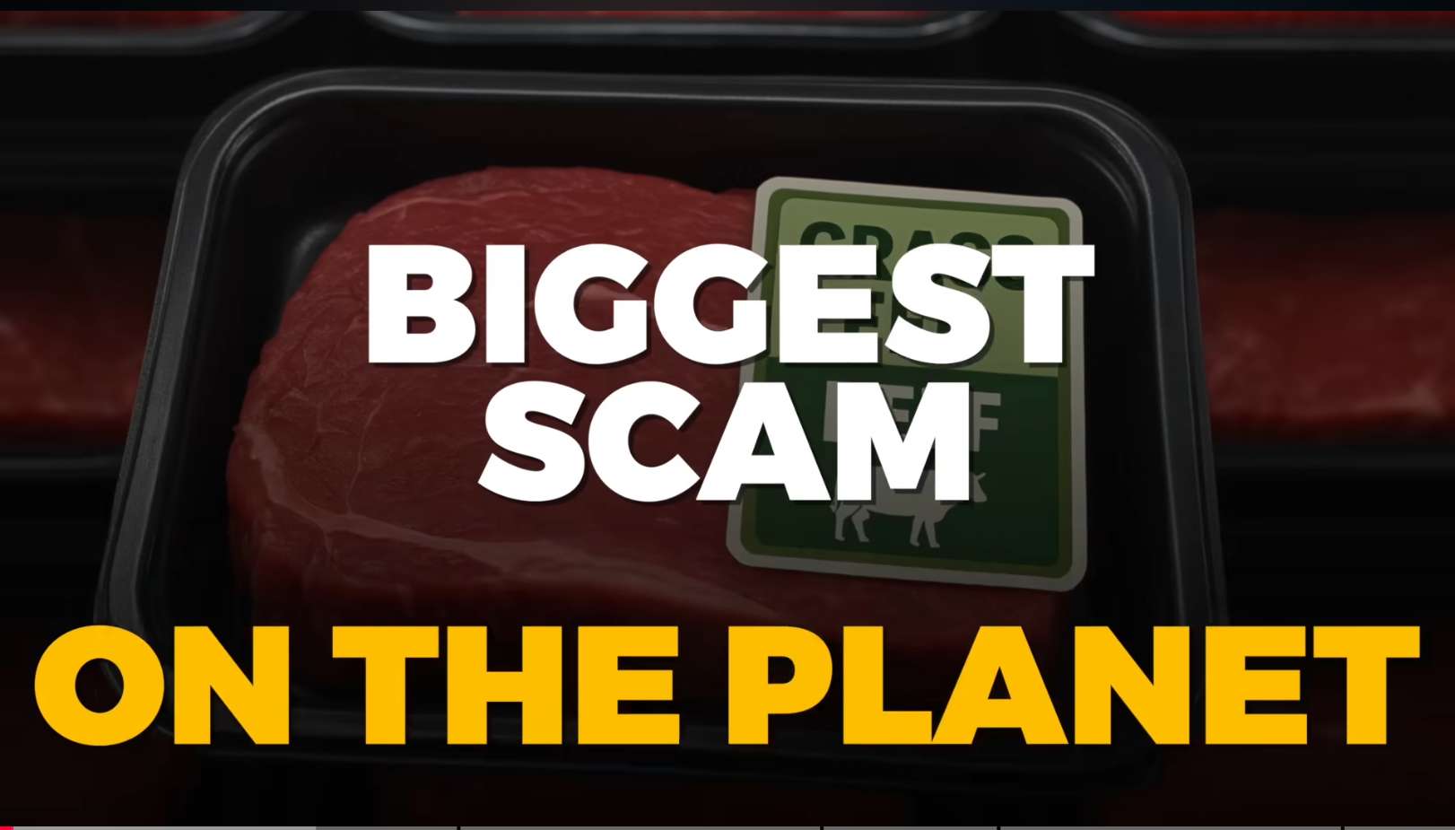 Grass Fed Beef Biggest Scam?