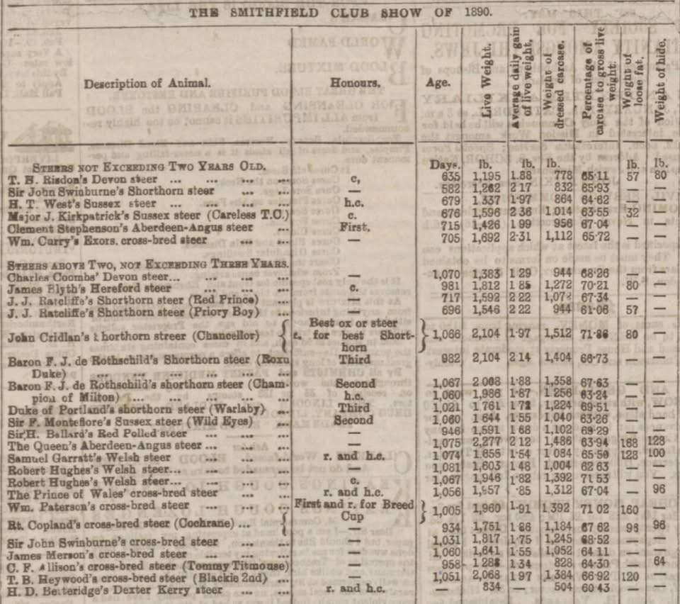 LET’S TALK DEXTER WEIGHTS!