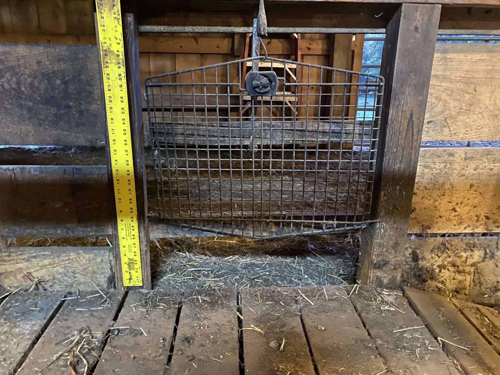 MILK LET DOWN – HINTS AND TRICKS