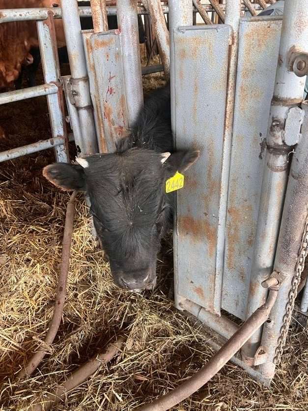 Building a Solid Foundation