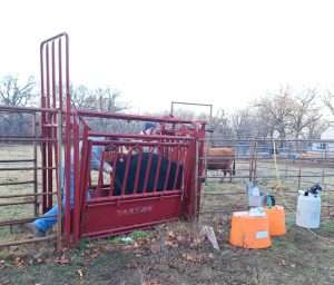 AI Plans vs. Real Life on the Farm