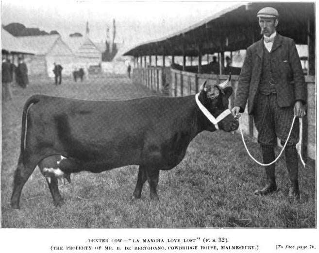 Lying out all winter long, Getting nothing more than what they can pick up and a small portion of hay Night and Morning.
