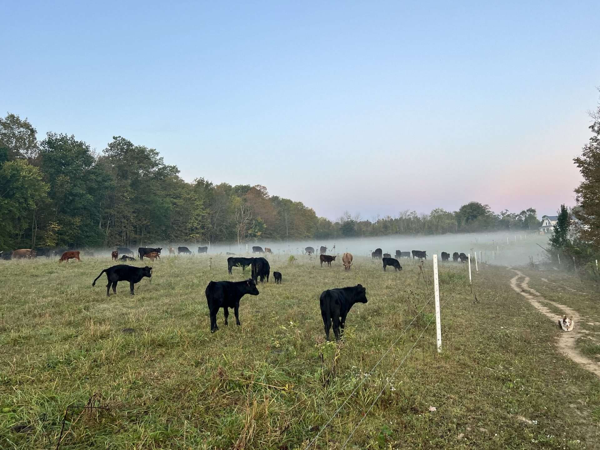 2025 Agricultural Trends