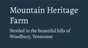 LET’S TALK CREAM AND DEXTERS