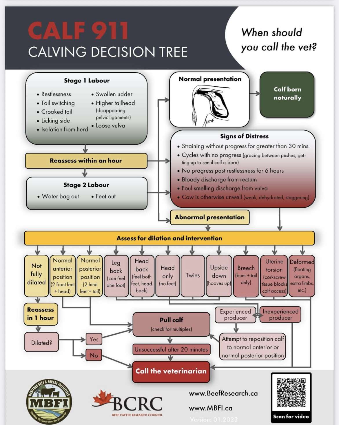 Helpful Calving Charts