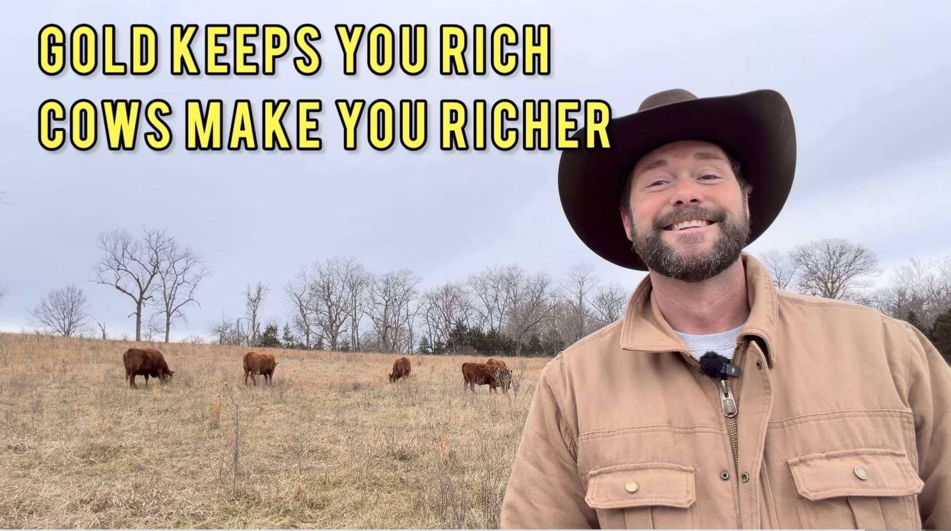 PRICE OF GOLD AND THE PRICE OF CATTLE