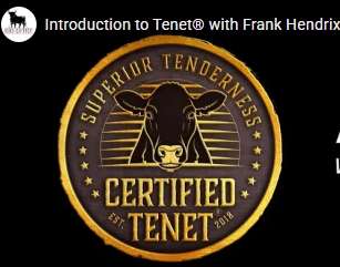 Introduction to Tenet