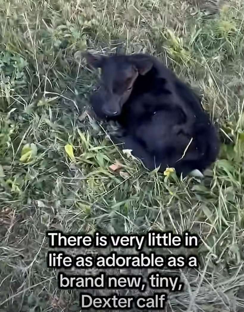 HAVE YOU VISITED OUR YOUTUBE CHANNEL?