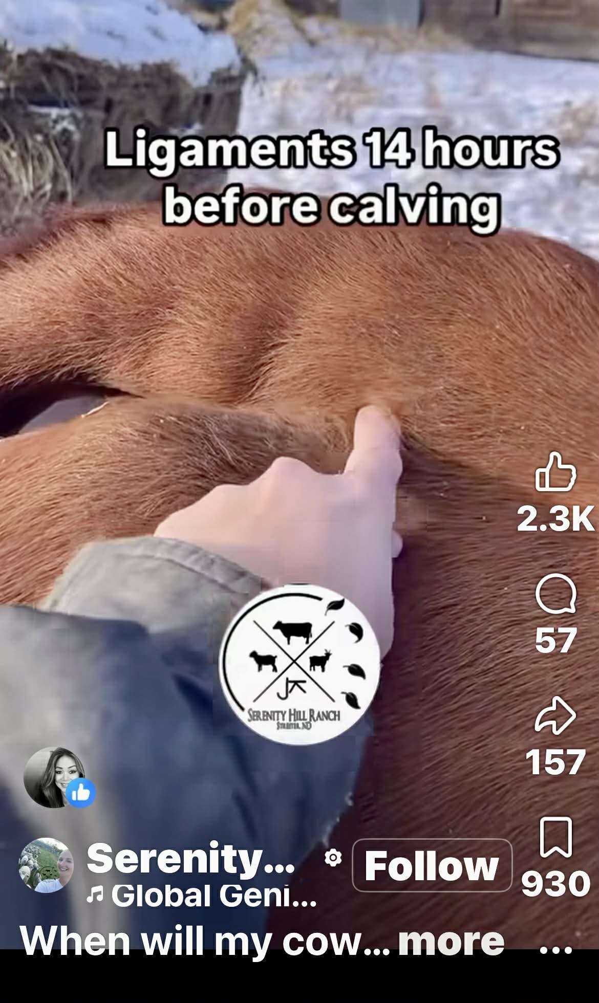 Ligaments dropping video