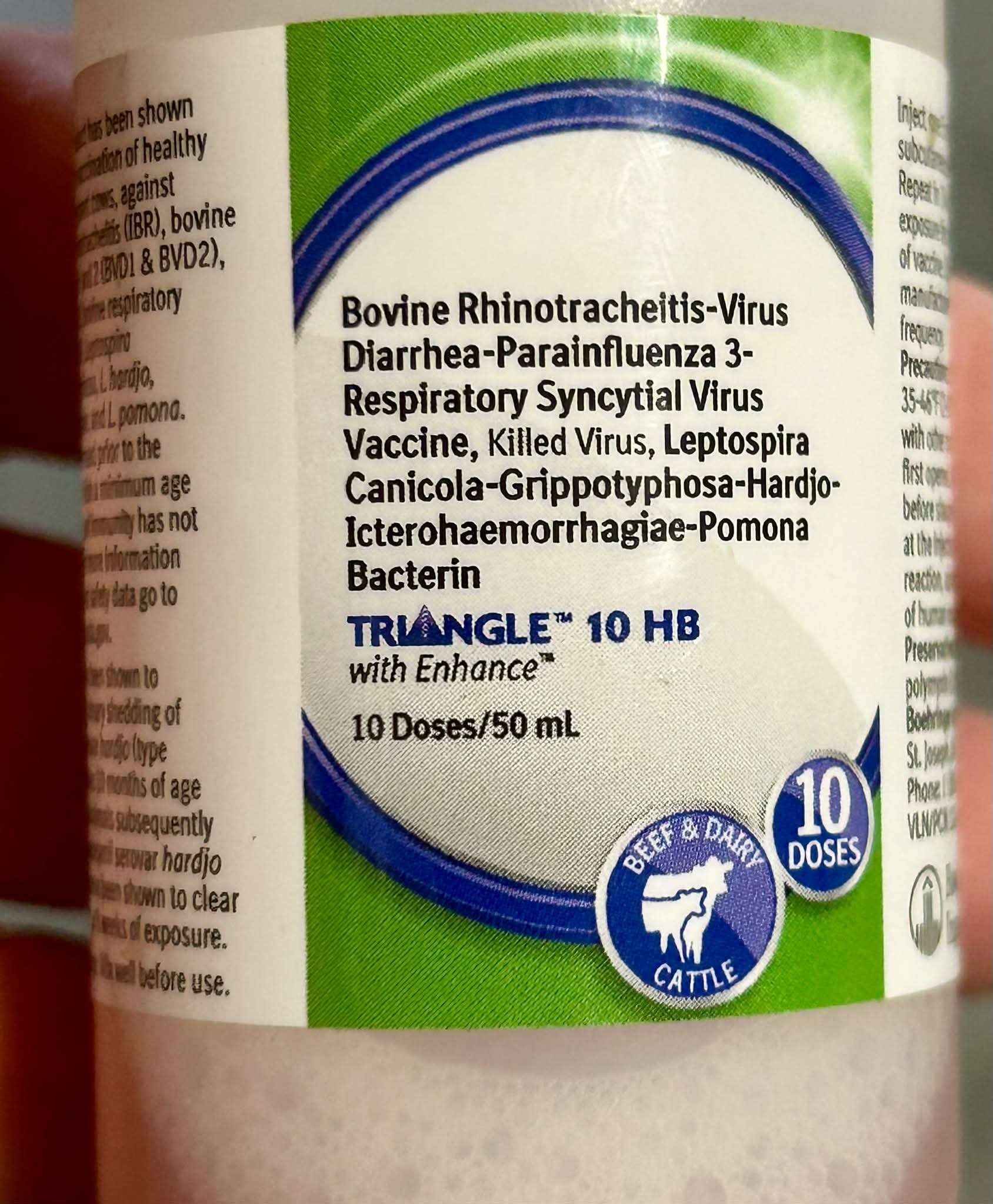 The importance of vaccines