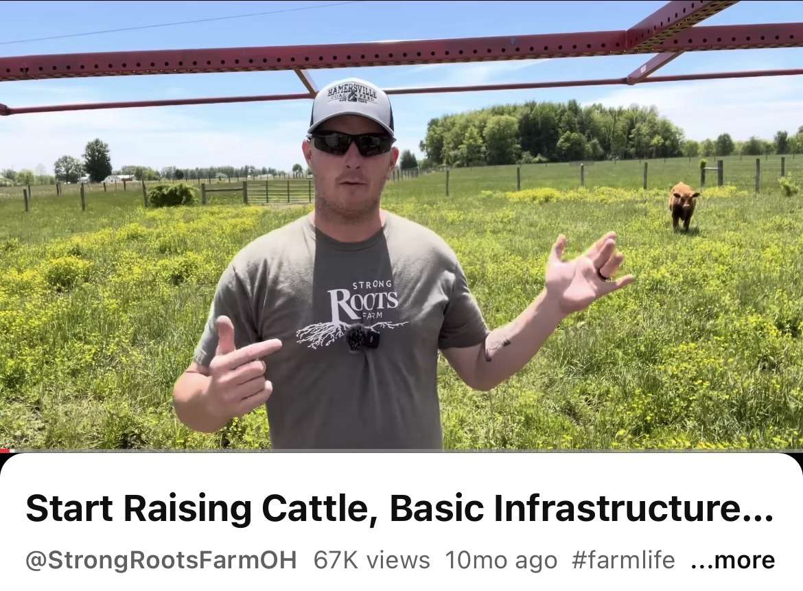 Low-Stress Cattle Management
