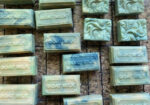 Nubian goat and Dexter cow milk soaps