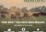 American Dexter Cattle Association