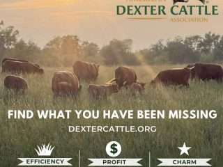 att.J_cGsdtm1lbnzx2bMPSyblPzlLgcG7E9AnfGiMNJ17g-1