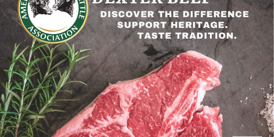 American Dexter Cattle Association