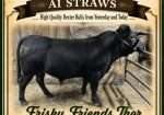 Frisky Friends Thor – AI Straws